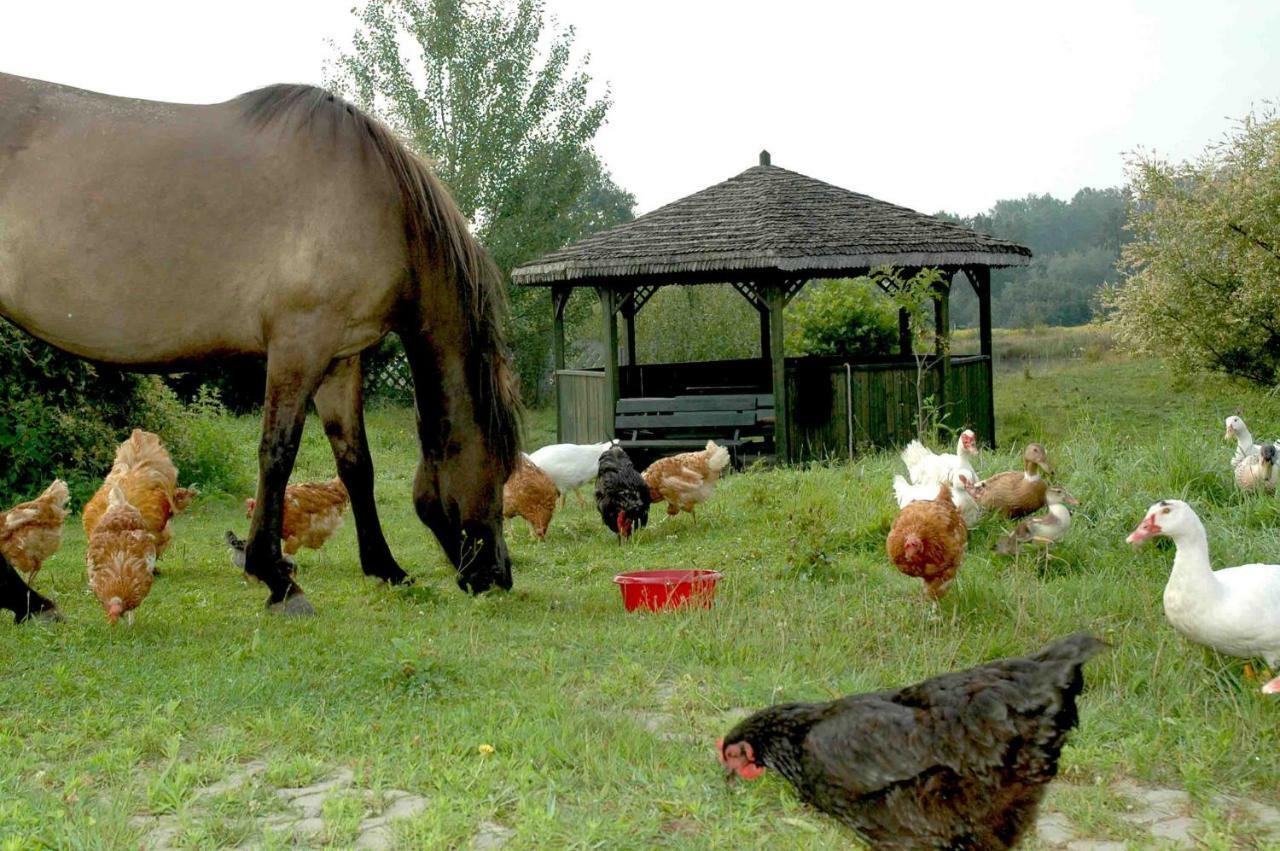Wodne Ogrody Βίλα Dobczyce Εξωτερικό φωτογραφία